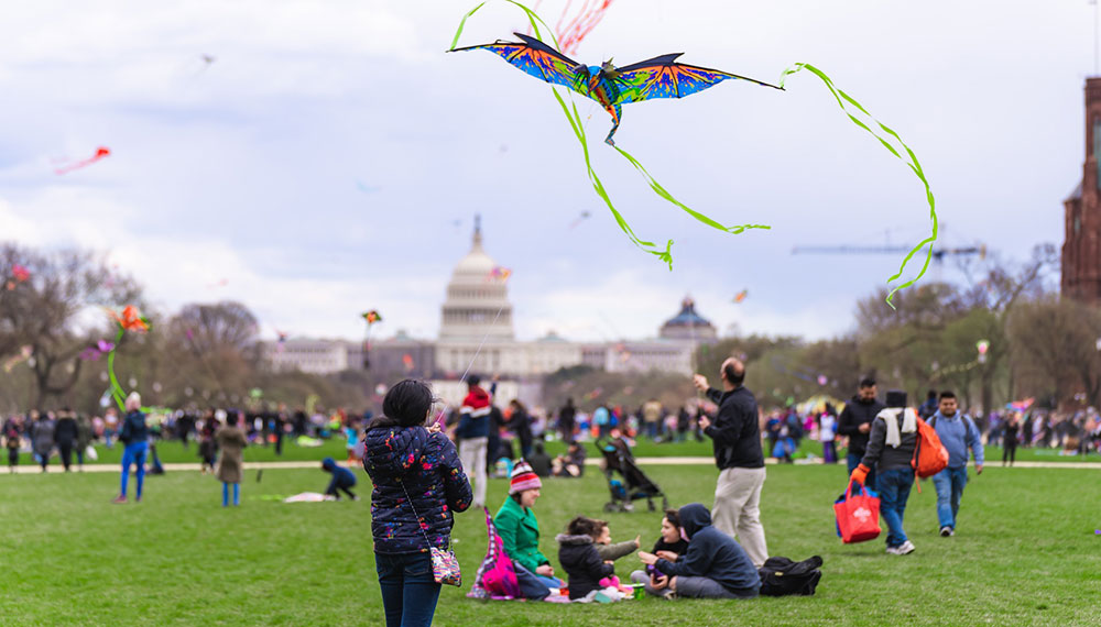 people flying a kite a park