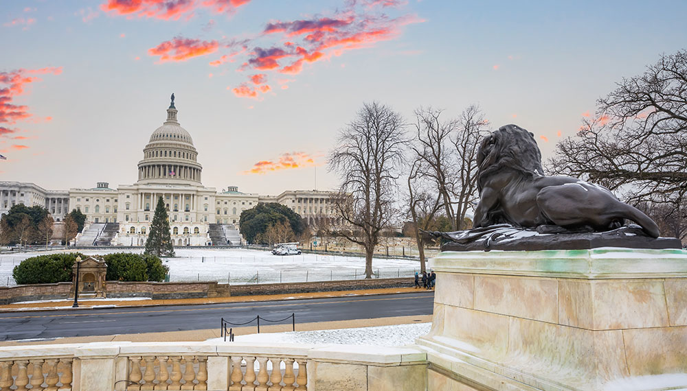 lion sculpture in front of capitol building