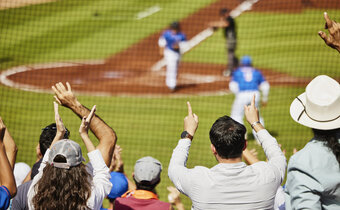 Fans enjoying a baseball game