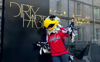 Capitals Mascot at Dirty Habit