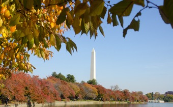 Washington Monument in autumn